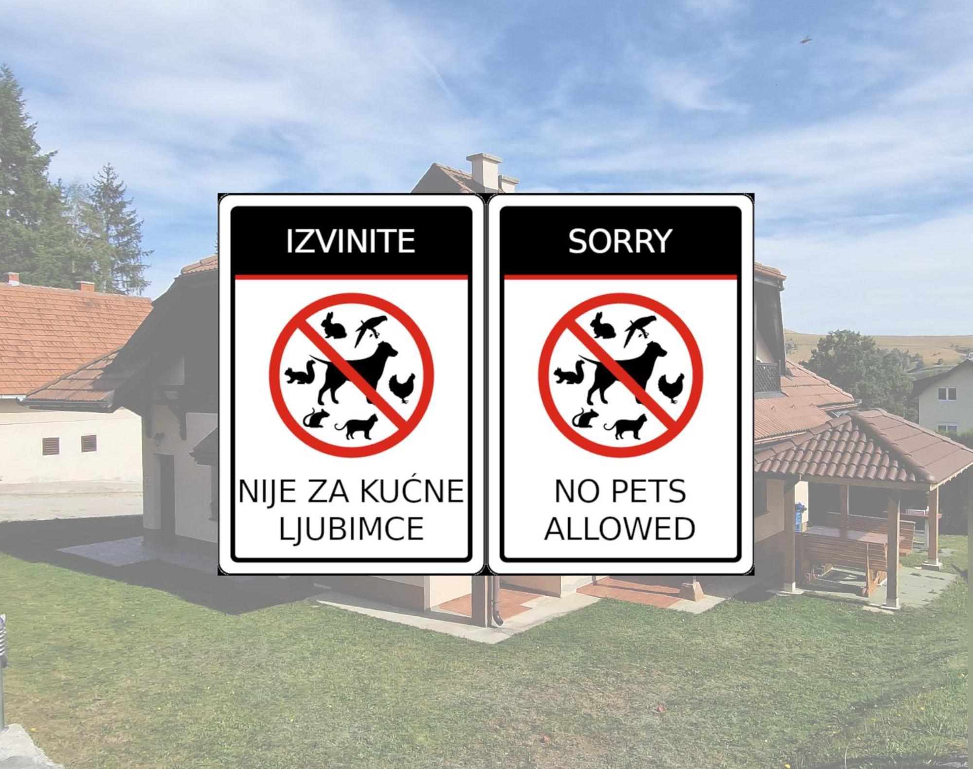 Zlatiborska Belina / White * Zlatibor